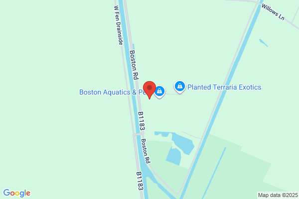 Boston Electronic Service