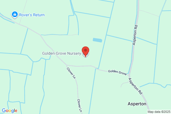 Golden Grove Nursery