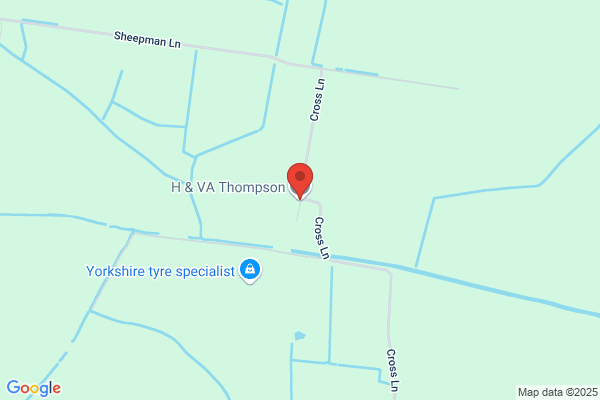 H Thompson