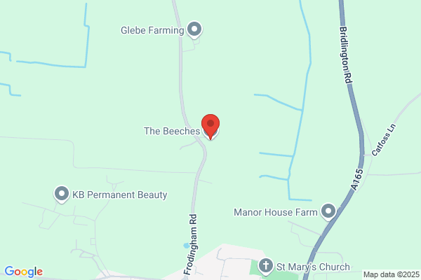 The Beeches