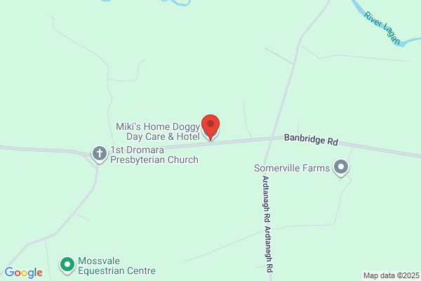 Binky's Boarding Kennels & Doggy Day Care
