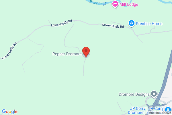 Pepper (Dromore) Ltd