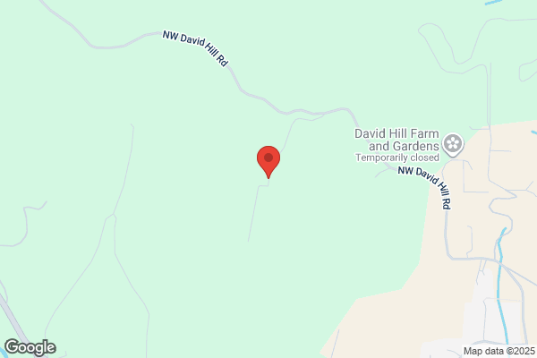 David Hill