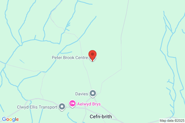 Peter Brooks (P D I Centre)