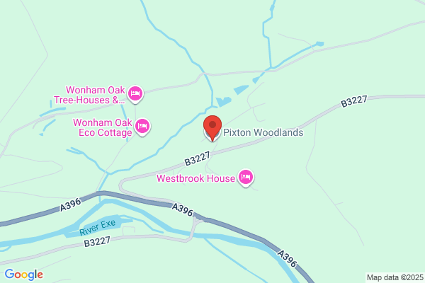 Pixton Woodlands
