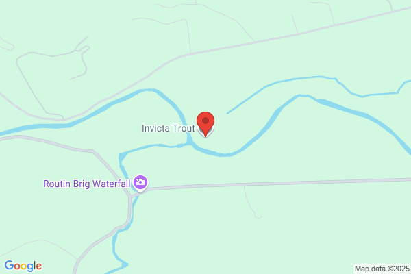 Invicta Trout Ltd