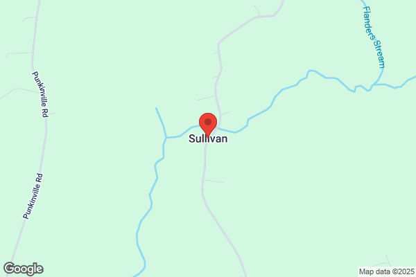 F Sullivan