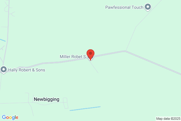 Robert S Miller