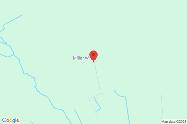 W Millar