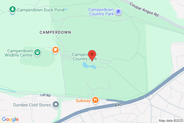 Camperdown Play Complex