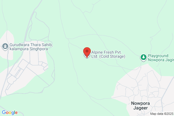 Alpine Cold Stores