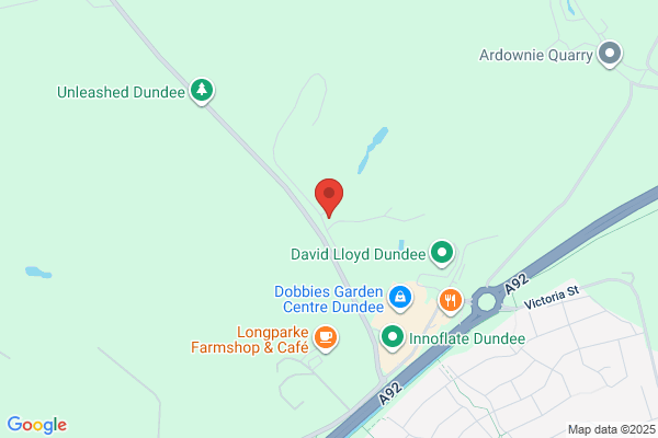 Ennstone Thistle