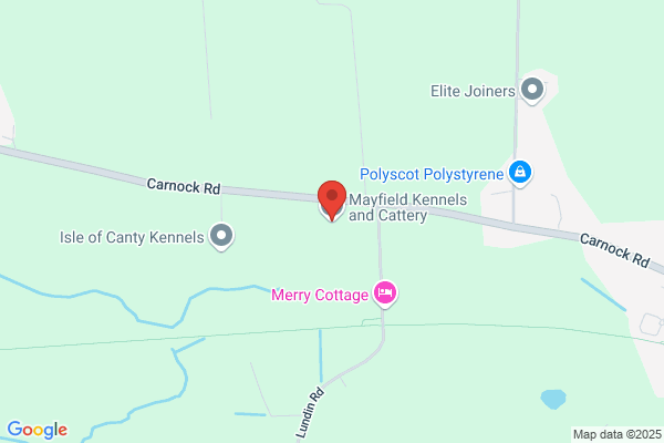 Mayfield Kennels