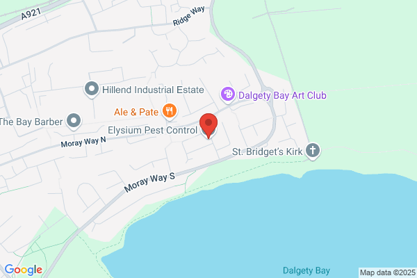 Fife Pest Control Services