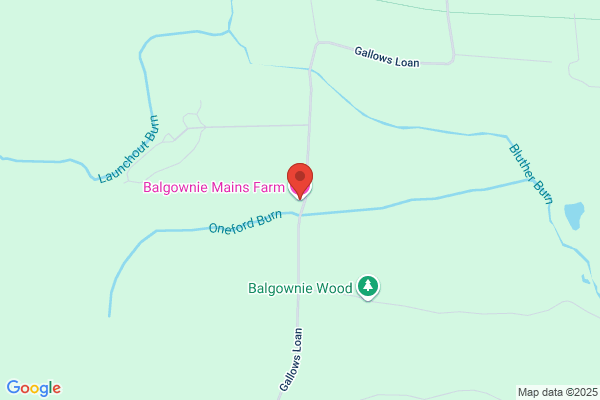 Balgownie Card Co