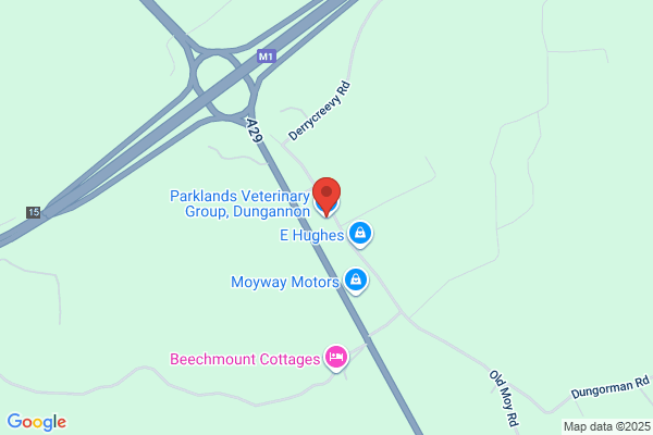 Parklands Veterinary Group, Dungannon