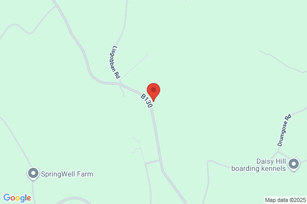 Benburb Bramleys
