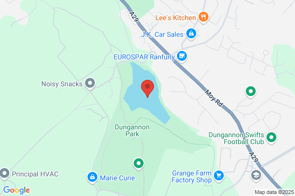 Dungannon Park Lake Fishery