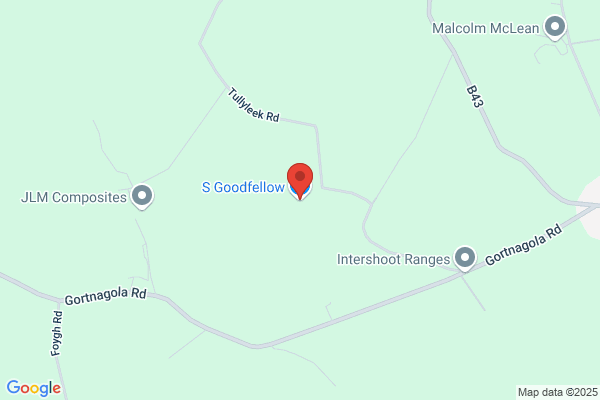 S Goodfellow