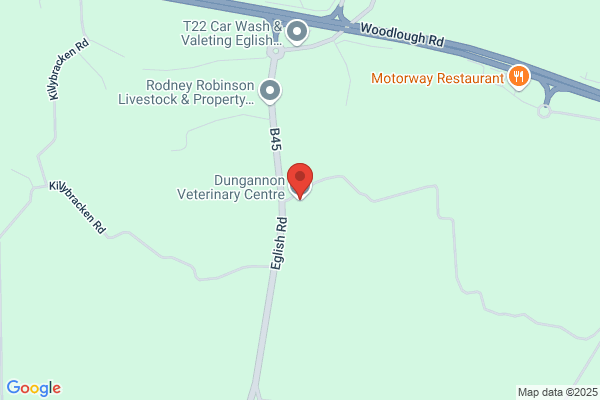 D B Vetenary Surgery