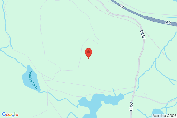Birnam Wood