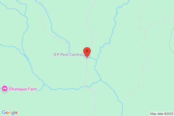 IEP Pest Control