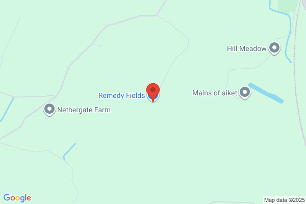 Remedy Fields
