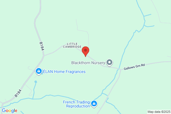 National Land Finding Agency