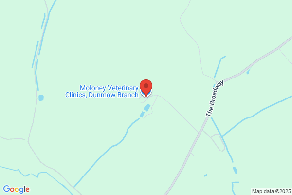 Moloney Veterinary Clinics, Dunmow Branch