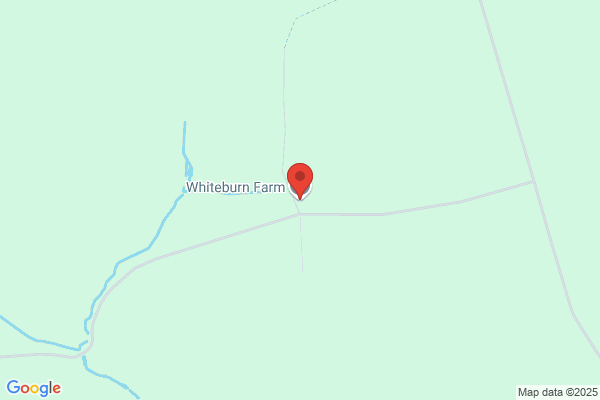 Whiteburn Farm