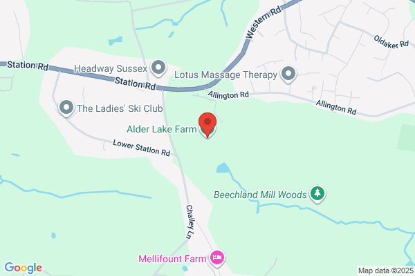 Alderbrook Livery Stables