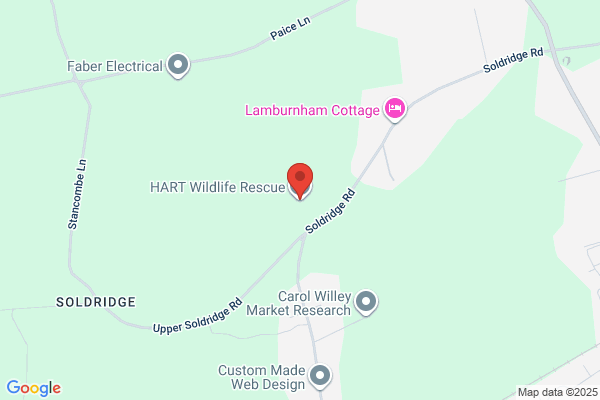 Hydestile Wildlife Hospital