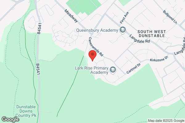 Neil Shadbolt Tree Surgery Ltd