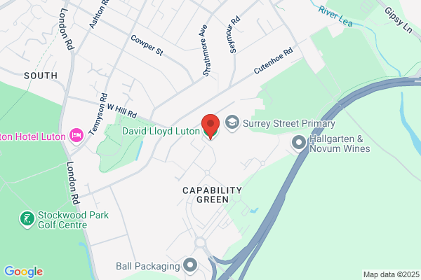 David Lloyd Leisure