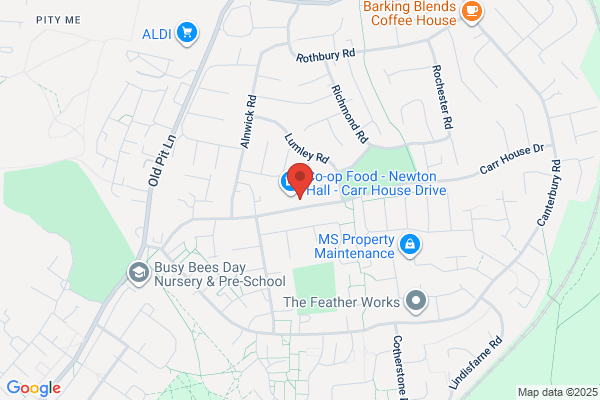 Newton Chippy