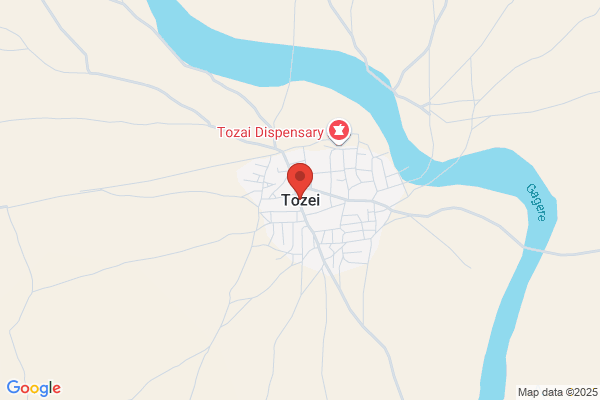 Tozei
