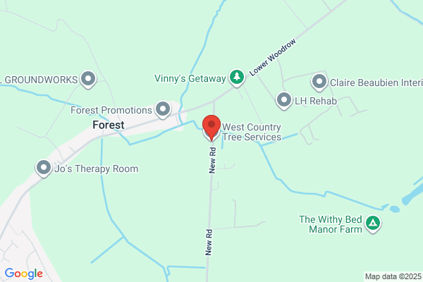 wiltshire tree management