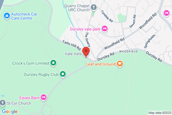 Vale Vets