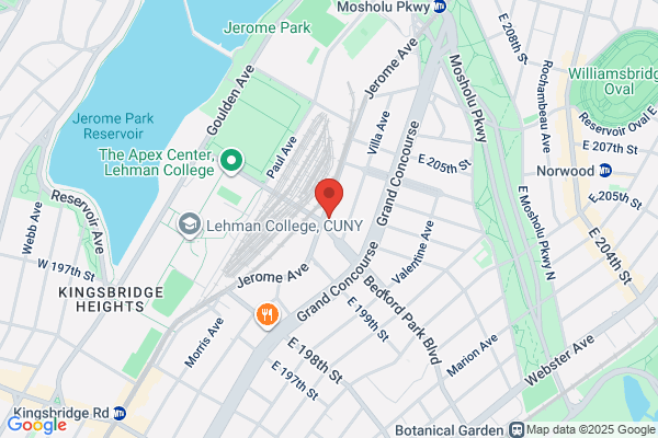 Bronx American Cafe