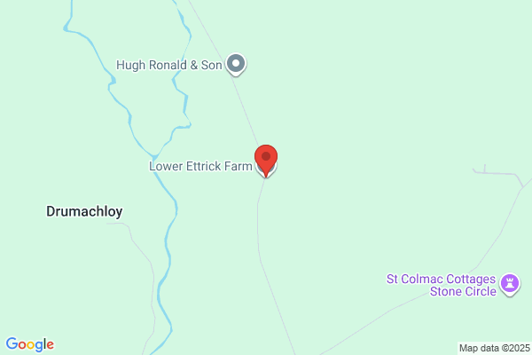 Ettrick Developments