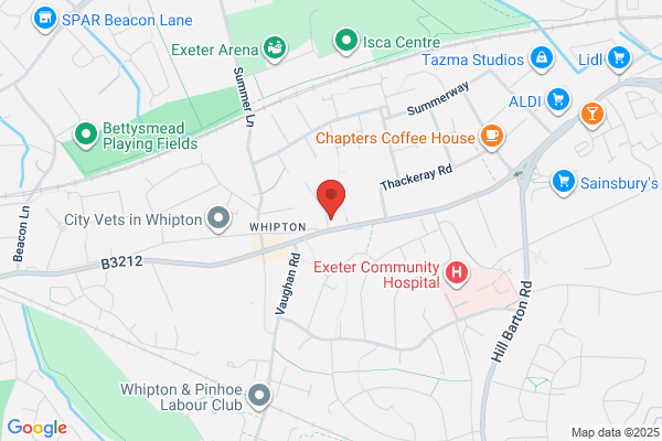 Exe Chiropractic Clinic