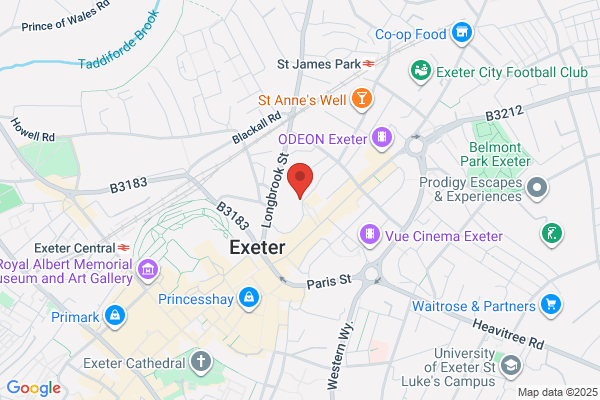 Exeter Mental Health Service User Project