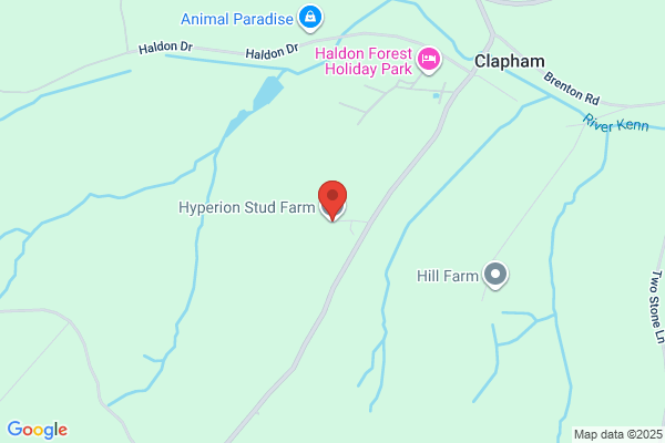 Hyperion Stud Farm & B & B