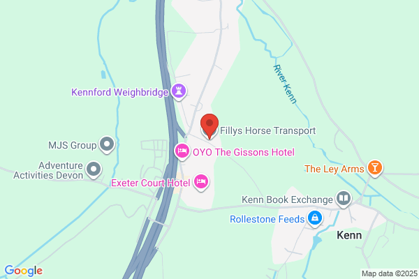 Fillyshorsetransport