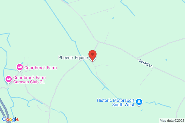 Phoenix Equine