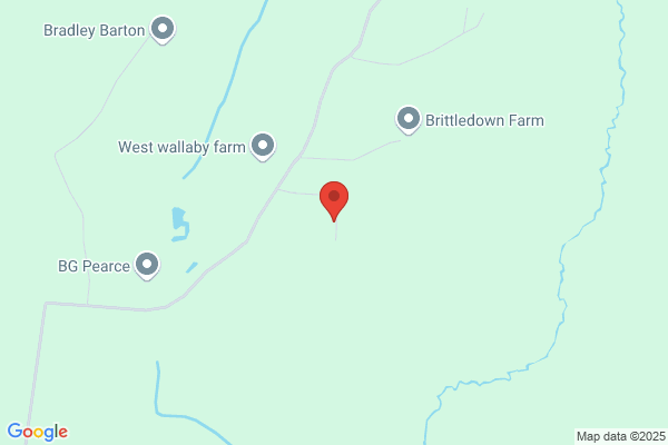 Wolfgar Veterinary Surgery