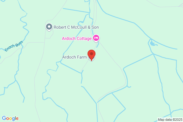 Aniron