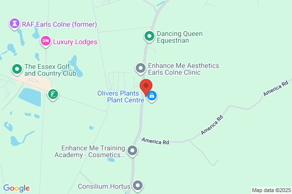 Halstead Fencing