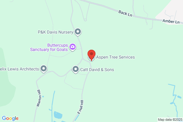 Aspen Tree Services