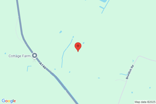 Ravenstock M S G